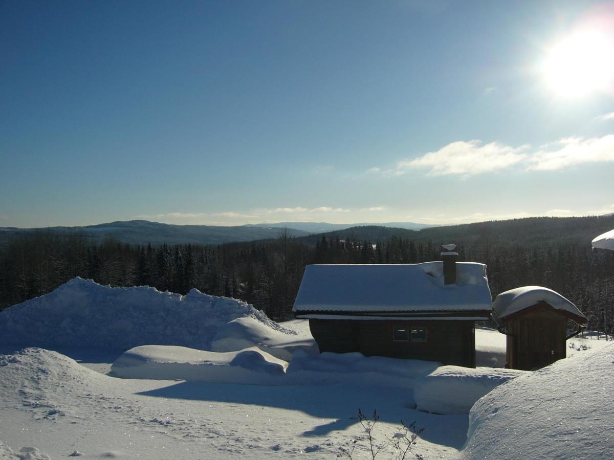 Lodge Panoramaboende